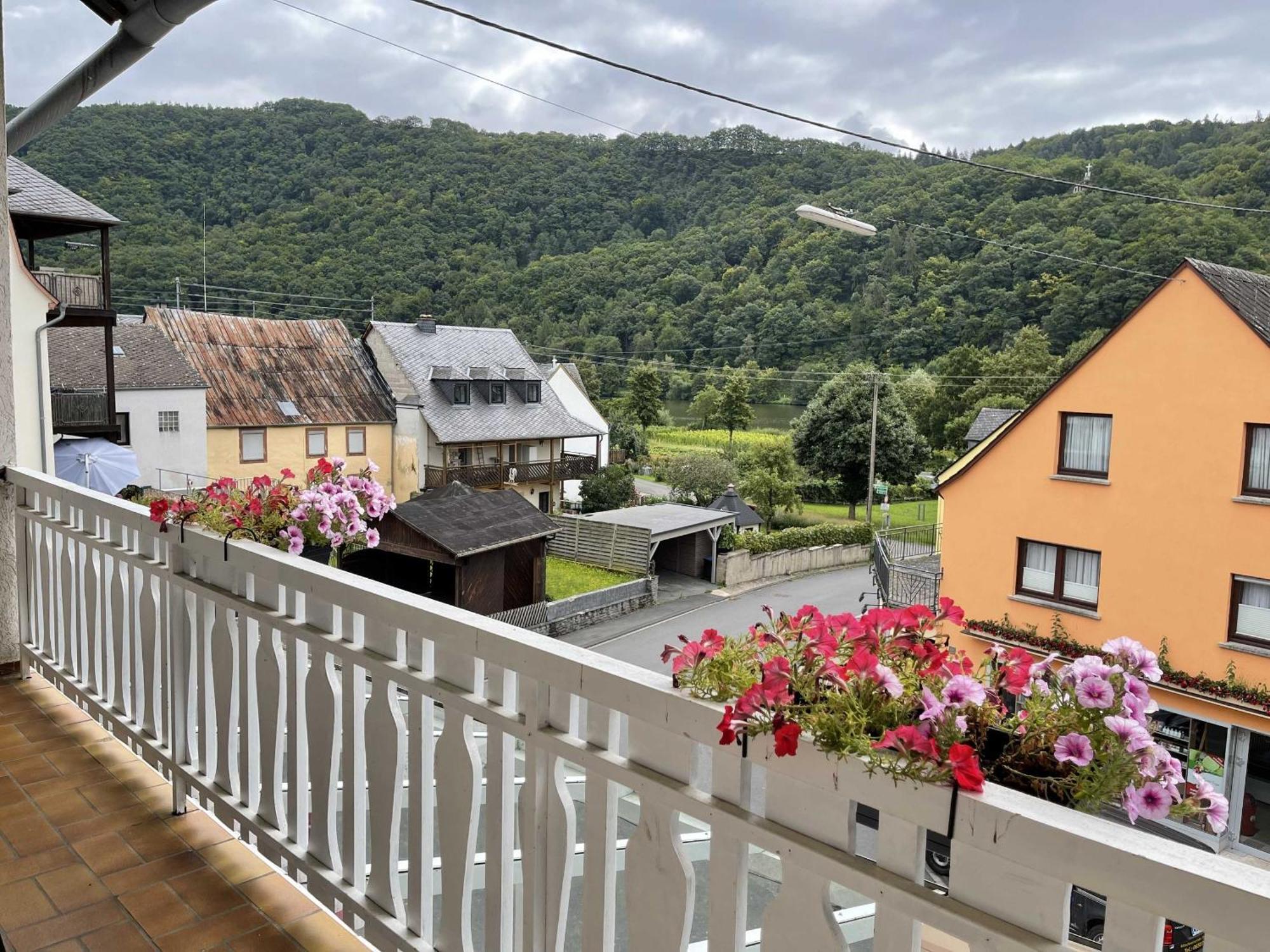 Hotel Zur Mosel Minheim Экстерьер фото